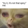 cayennelvr99