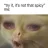 cayennelvr99